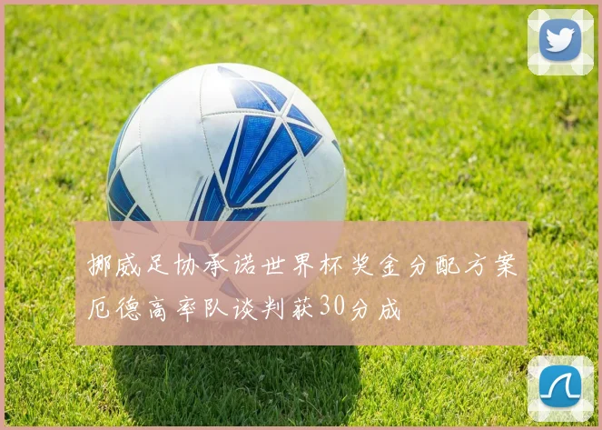 挪威足协承诺世界杯奖金分配方案厄德高率队谈判获30分成