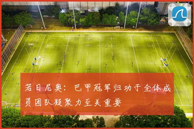 若日尼奥：巴甲冠军归功于全体成员团队凝聚力至关重要