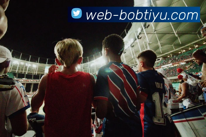 BOB体育平台生态图