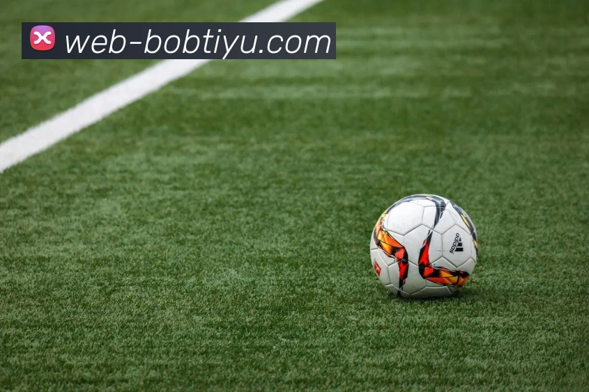 BOB体育APP 封面图