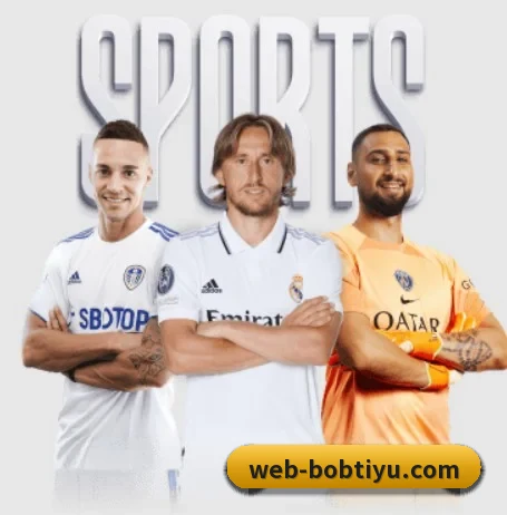 BOB体育 APP 界面